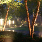 lighting_05_lg